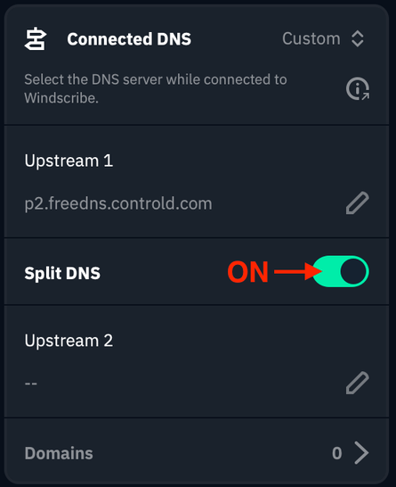 Split DNS toggle location